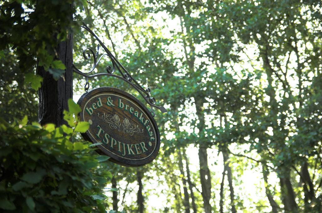 B&B Tspijker Mol Exterior foto